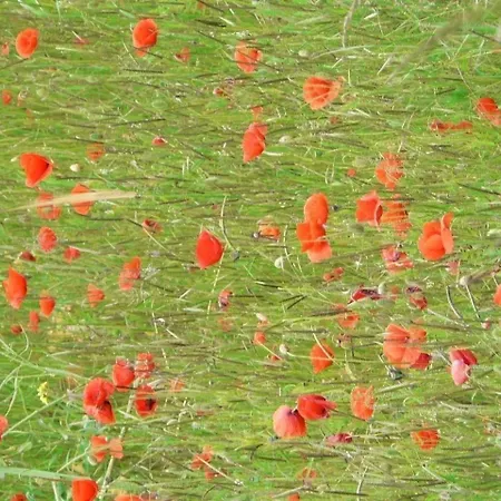 Lejlighed Schoene In